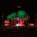 Tree(初回限定盤CD DVD)