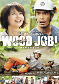 woodjob_dvd.jpg