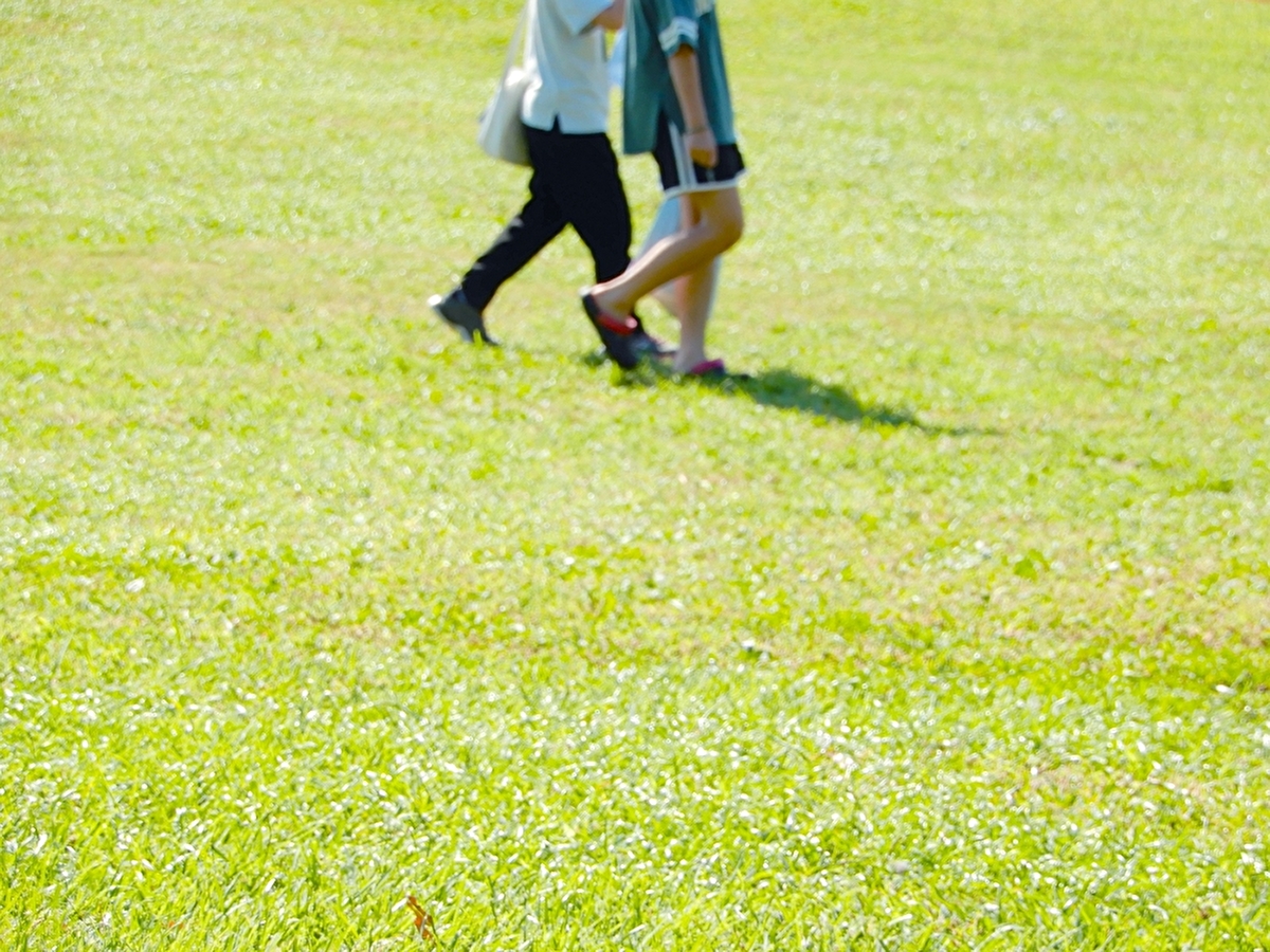 芝生の公園を歩く子供たちの画像